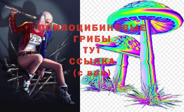 соль курить ск Алексеевка