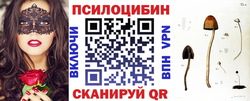 где купить   Оханск  блэк спрут рабочий сайт  Галлюциногенные грибы прущие грибы 