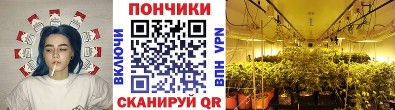 купить наркотики цена  Оханск  Канабис индика 